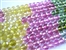 Tour Beads Top